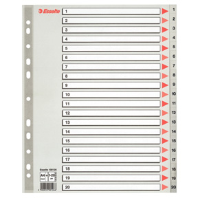 Esselte Register PP A4 Maxi 1-20 grå